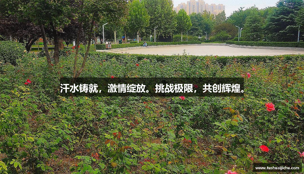 汗水铸就，激情绽放。挑战极限，共创辉煌。